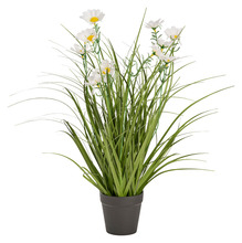 Kunstgræs med margueritblomster 50 cm